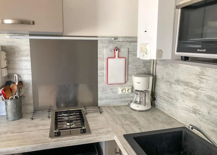 Les Agathes By Interhome * Agde